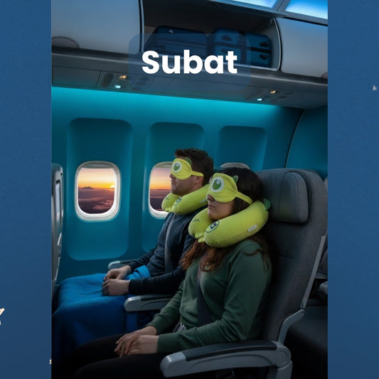 mike neck pillow